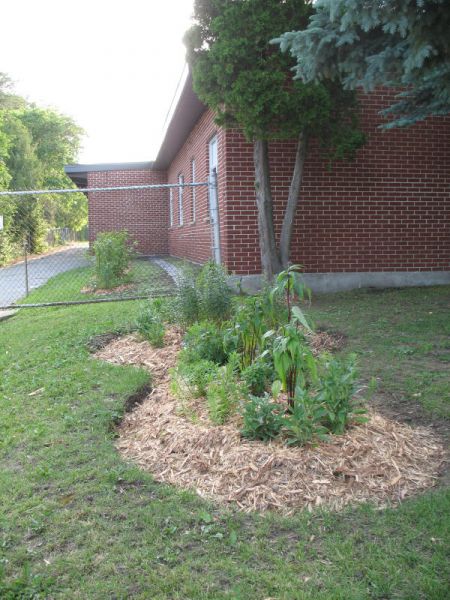 Two small rain gardens at Adamsdale Public School help protect the health of Ramsey Lake.  (photo by Naomi Grant)