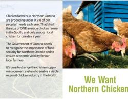 MEDIA RELEASE: Eat Local Sudbury Launches "We Want Northern Chicken" Campaign