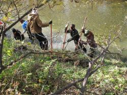 Photo by Naomi Grant.  Stabilizing the creek bank with willow fascines is just one example of environmental work being done by local grassroots groups.